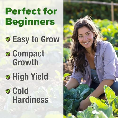 HOME GROWN Vates Collard Green Seeds, 300+ Seeds - Image 4