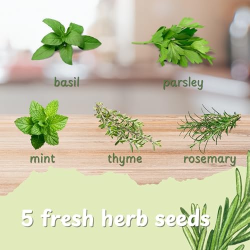 Herb Indoor Garden Kit- Unique Chrismas Herb Gardening Gift, Home Kitchen Gift for Mom, Friends, and Gardeners (Basil, Parsley, Mint, Thyme, Rosemary) - Image 3