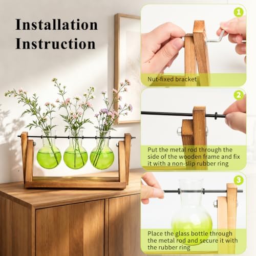 XXXFLOWER Plant Terrarium Kit with Wooden Stand 3 Gradient Green Bulb Vases - Image 3