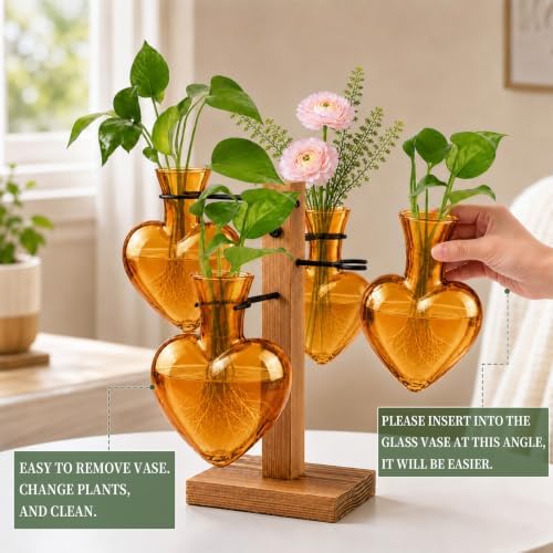 Plant Terrarium Propagation Station with 4 Heart Glass Vases - Amber - Image 4