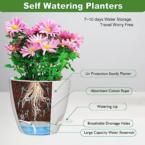 5/6/5.5/5 Inch 7/6.Self Watering Pots for Indoor/Outdoor Plants, 5 Pack - Image 2