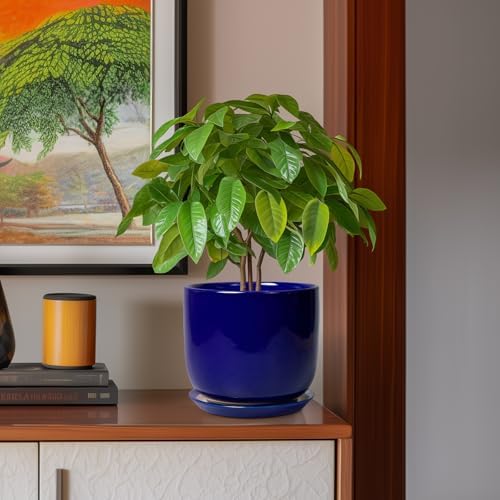 8 Inch Ceramic Plant Pot - Decorative Round Planter for Indoor Plants with Drainage Hole and Saucer, Home House Room Office Garden Decor, Blue - Image 2