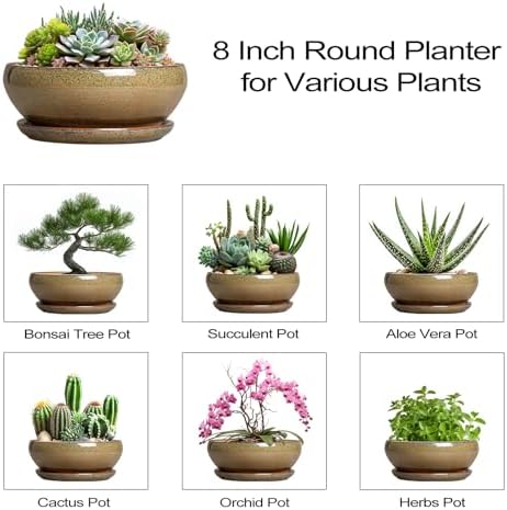 SQOWL Succulent Pots, 8 Inch Ceramic Bonsai Pots with Drainage Tray, Brown - Image 7