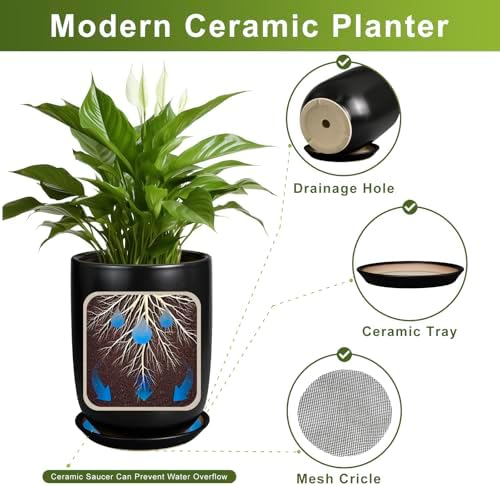 Ceramic Planter 10 Inch - Ceramic Pot for Indoor Plants Outdoor Plant Pot with Drainage Hole and Saucer Cylinder Flower Pot Black - Image 6