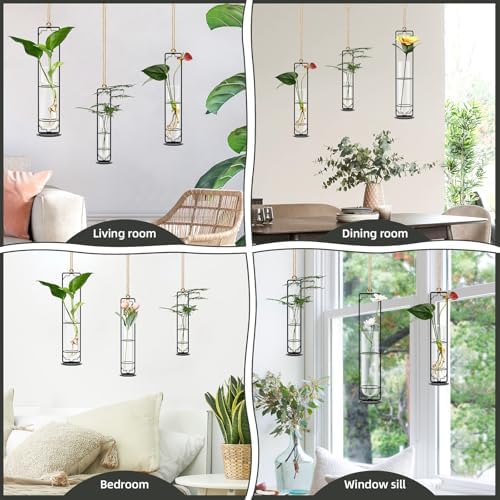 MIPON Metal Hanging Plant Propagation Station,3 Size Glass Test Tube Hydroponic Planter,Boho Wall Hanging Plant Cuttings Holder,Indoor Water Plant Terrarium Tubes for Home Office Window Decor-Black - Image 6