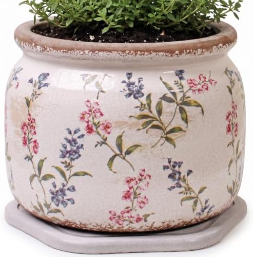 French Country Ceramic Plant Pot with Decorative Saucer, Plant Lover Gifts by XiaanJiaju