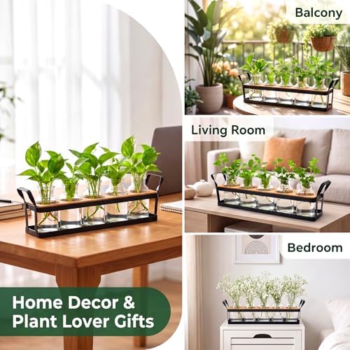 Salzesfalls Propagation Stations with Metal Stand, Tabletop Plant Terrarium - Image 4