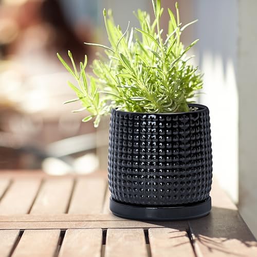 D'vine Dev Beaded Ceramic Pot with Saucer, 4 in, Glossy Black, 27-C-Z-2 - Image 2
