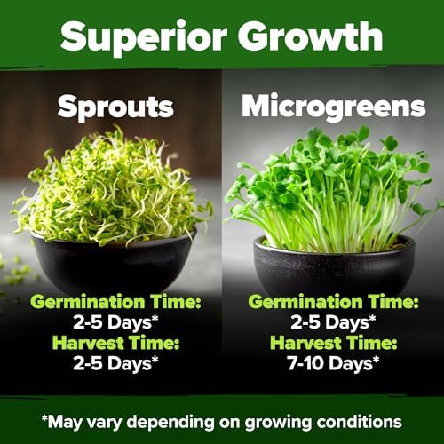 HOME GROWN Alfalfa Sprouting & Microgreen Seeds 16 oz Bulk Pack - Image 5