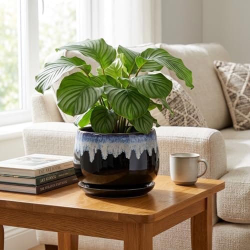 Ceramic Plant Pots - 9 Inch Flower Pots for Indoor Plants, Decorative Pots for Plants with Drainage and Saucer, Large Planter, House Office Decor, Gardening Gifts for Women, Black-Blue - Image 5