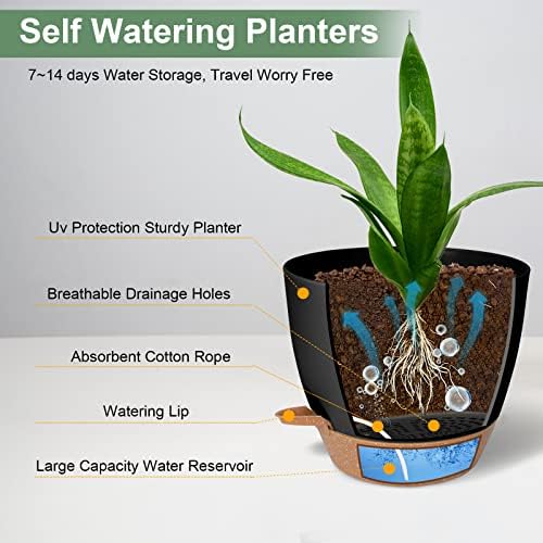 Vanslogreen Planters for Indoor Plants 3 Pack, 10/9/8 Inch Self Watering Flower Pots with Drainage Hole, Plastic Large Plant Pots (Black) - Image 3