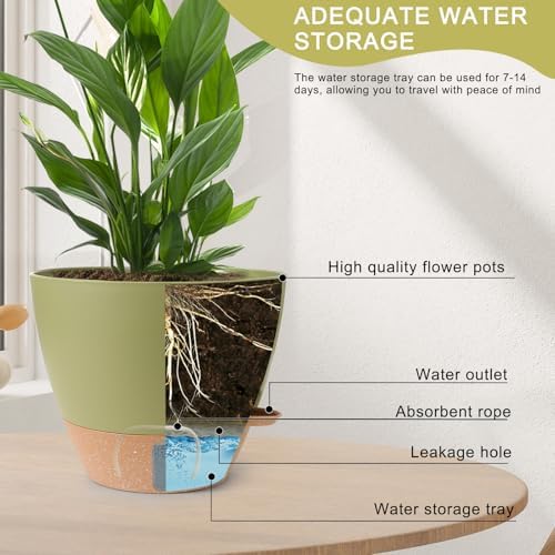 Self Watering Pots for Indoor Plants, 3 Pack 12/10/8 Inch, Large Planter with Water Reservoir, Modern Decorative Flower Pots for Home & OfficeGreen - Image 3