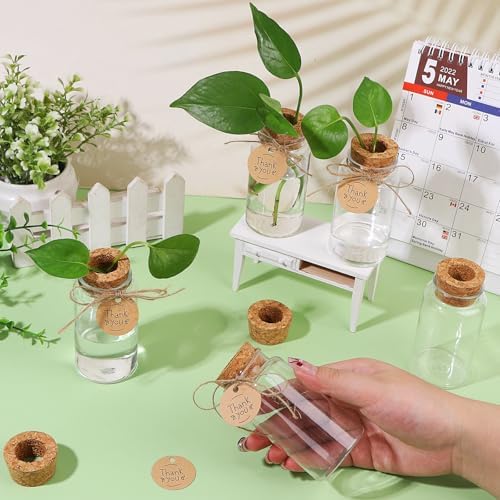 36 Packs Plant Propagation Stations with Hole Lid Clear Plastic Cultivation Bottles Tabletop Hydroponic Containers with Thank You Tags for Home Gardening Office Desktop Decoration - Image 7