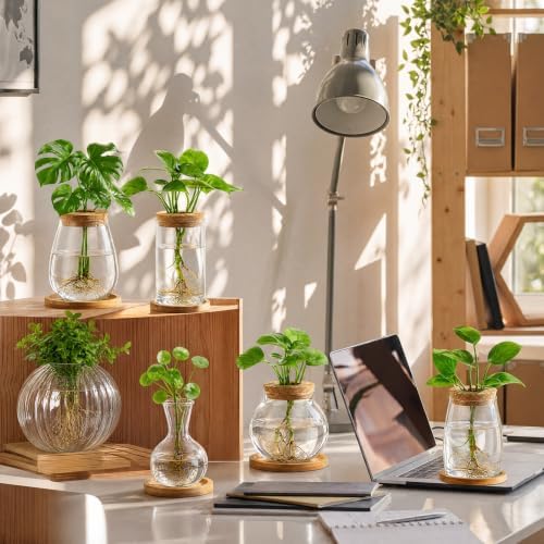 Honeydak 6 Pcs Plants Propagation Stations Glass Propagation Ribbed Vases - Image 3