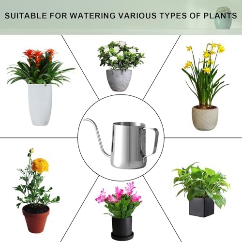 Doseno Small Watering Can for Indoor Plants, Plant Watering Can, 12 oz - Image 6