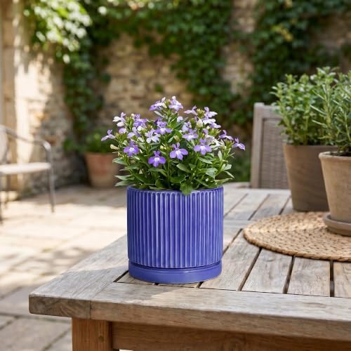 Ceramic Plant Pots 4 Inch, Round Planter with Saucer, Blue - Image 7