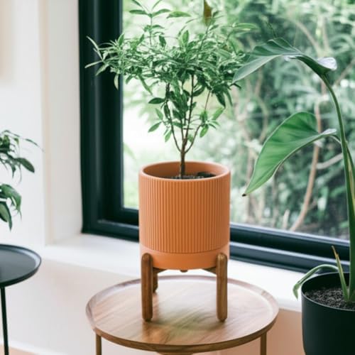Large Terracotta Pots, 8 Inch Clay Planter Pots with Drainage Hole & Saucer (with Stand), Garden Planters for Indoor/Ourdoor Plants, Cactus & Snake Plant - Image 6
