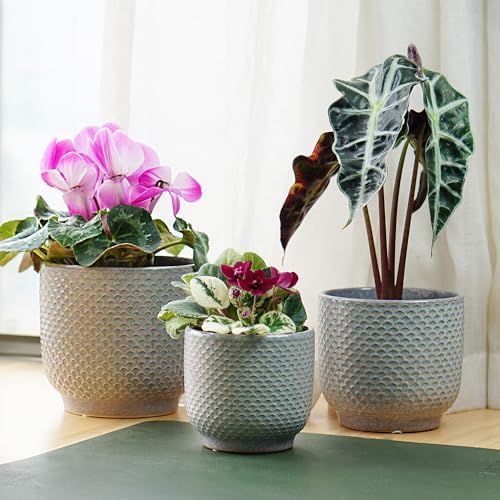 4 + 5 + 6 Inch Ceramic Pots for Indoor Plants, Succulents Plant Pots, Orchid Flower Pot with Drainage Hole, Modern Clay Stoneware Planters, Set of 3 (Reactive Glaze Grey Blue, 4 + 5 + 6 Inch） - Image 4