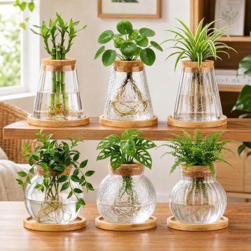 Honeydak 6 Pcs Plants Propagation Stations Planter Terrariums with Wooden Lid and Bamboo Stand Hammered Glass Propagation Vases for Plant Growing Hydroponic Home Office Tabletop Decoration - Image 3