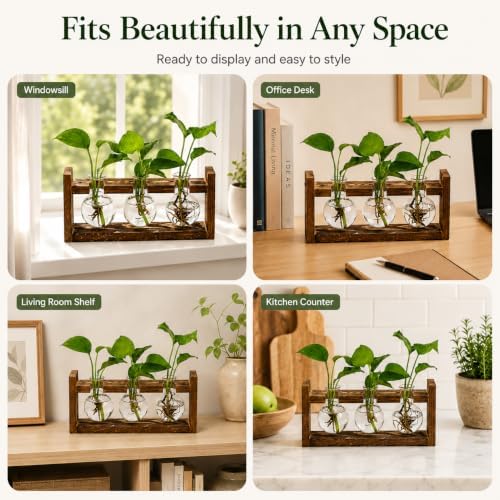 Glass Plant Propagation Station, 3 Glass Bulb Vases - Image 5