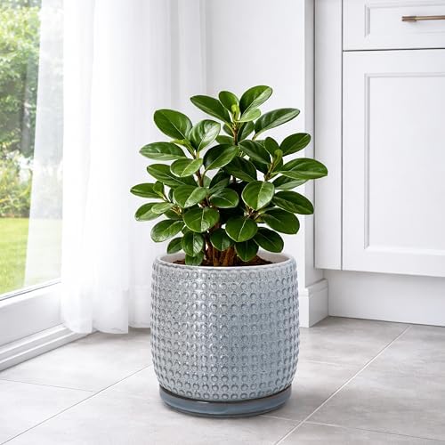 D'vine Dev Beaded Ceramic Pot with Saucer, 8 in, Graphite Blue, 27-C-Q-9 - Image 6