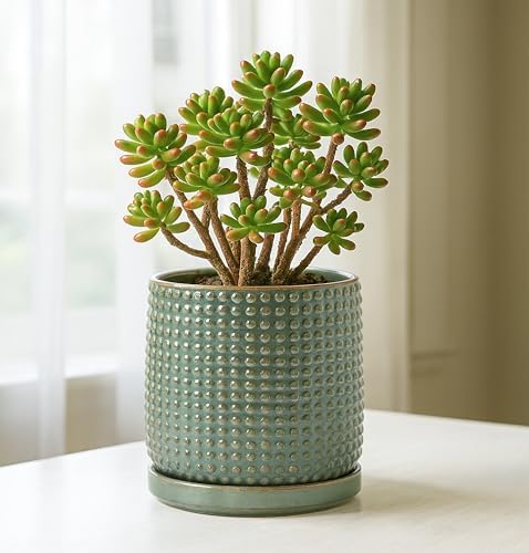 D'vine Dev Beaded Ceramic Pot with Saucer, 6 in, Olive, 27-C-X-0 - Image 2