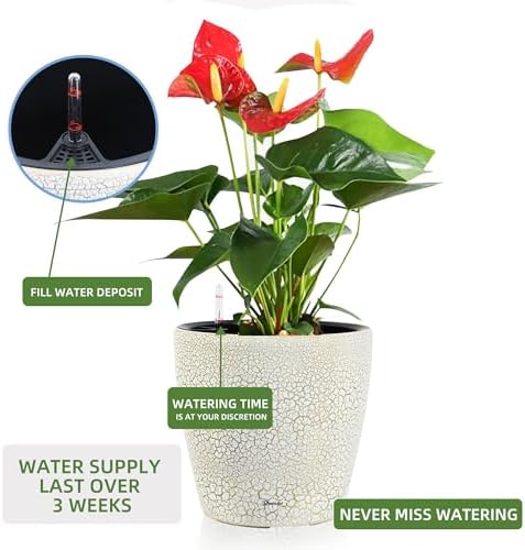 Dexceder 13x12 Self Watering Planter with Wheels (White Gold Crackle) - Image 5