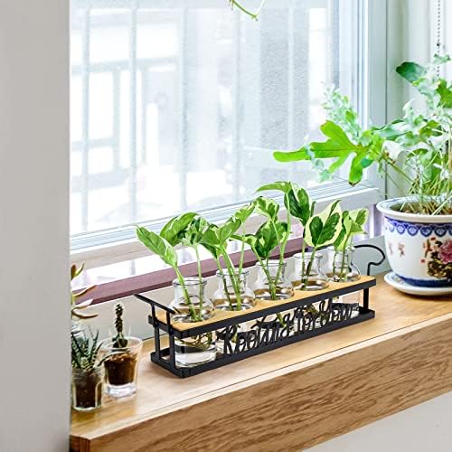 Plant Propagation Station "Rooting for You" Hydroponic Planter Vase - Image 3