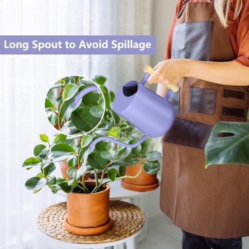 Watering Can Indoor Plants, 35oz Small Stainless Steel Metal Watering Can Modern Decorative Watering Pot with Long Spout for Indoor House Plant Bonsai Garden Flowers (Purple) - Image 2