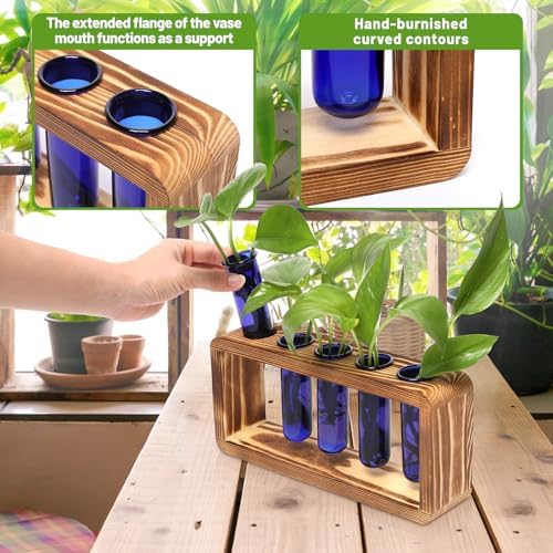 Glass Plant Propagation Station with 5 Test Tubes Colorful Planter Vase - Image 4