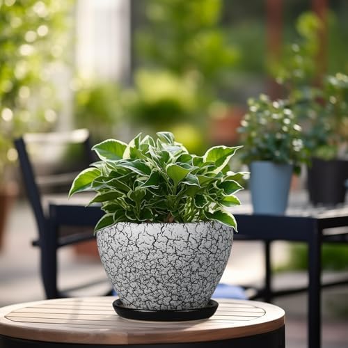 Ceramicfor Ceramic Planter Pot - 6 Inch Plant Pot with Drainage Hole and Saucer, Succulent Pot Glaze Round for Indoor Outdoor Plants, White and Black - Image 4