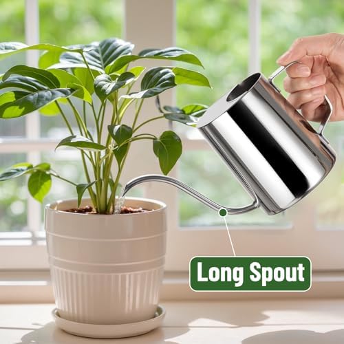 Doseno Indoor Watering Can, Long Spout Watering Can, Stainless Steel, 20 oz - Image 3