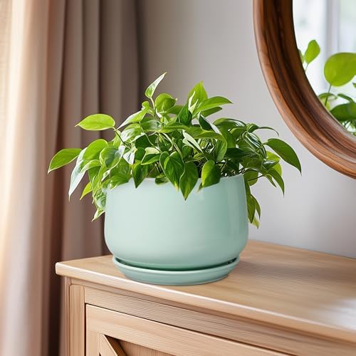 G EPGardening Ceramic Plant Pots, 6 Inch Pot for Plants, Green - Image 6