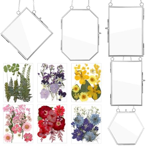 Bucherry 5 Pcs Glass Frame for DIY Pressed Flowers Art Hanging Photo Picture Frame with Chain and 6 Styles Pressed Flowers Collage Glass Craft Frames for Wall Decor Display Gallery (Silver) by Bucherry