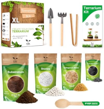 DIY Terrarium Kit for Plants – Build a Self‑Sustaining Closed Ecosystem – Supplies for Up to 1 Gal (3-5 Liter) Glass Jar – Succulents, Air Plants (Tillandsia), Fern (XL) by PYEFCRAFTS