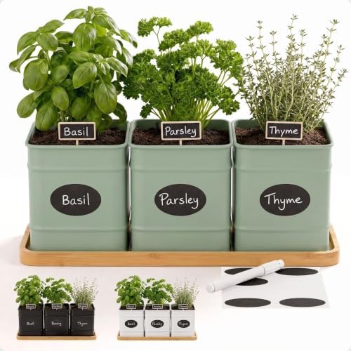Herb Planter Indoor, 3-pc Herb Pots w/ Drainage Holes, Bamboo Tray & Labels by HBDesignCo
