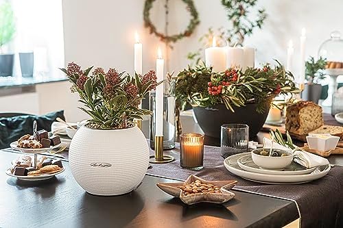 Lechuza Puro Color 20 White, Self-Watering Small Indoor Planter, D7.9 H6.3 in - Image 6