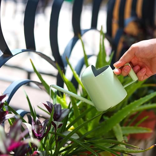 Mini Watering Can, 10oz/300ml Stainless Steel Long Spout Small Watering Can for Indoor Plants Succulents, Herbs (Green) - Image 5