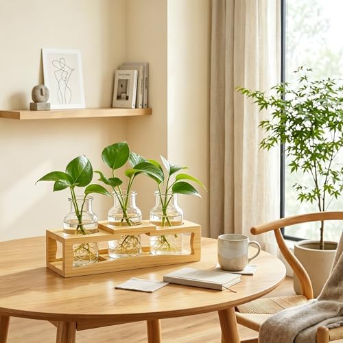 Eorbow Plant Propagation Station, Desktop Plant Terrarium with Wood Stand, Retro Propagation Vases Glass Planters for Indoor, Hydroponic Plant Propagating Jars for Home Office Decor, Plant Lover Gifts - Image 6