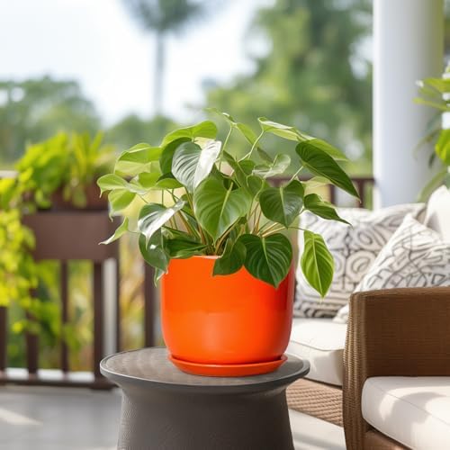 Ceramic Pot for Plants - 8 Inch Plant Pot with Drainage Hole and Saucer, Cylinder Modern Round Planter for Indoor Outdoor Plants, Housewarming Gifts, Office Home Garden Decor, Orange - Image 4