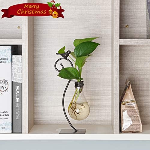 Marbrasse Desktop Glass Planter Hydroponics Vase,Planter Bulb Vase with Holder for Home Decoration,Modern Creative Bird Plant Terrarium Stand, Scindapsus Container (Bulb Vase) - Image 3