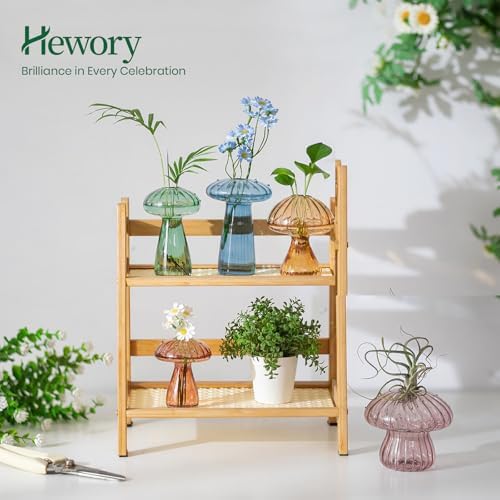 Hewory Plant Propagation Stations: 5PCS Colored Mushroom Vase for Flower - Image 3