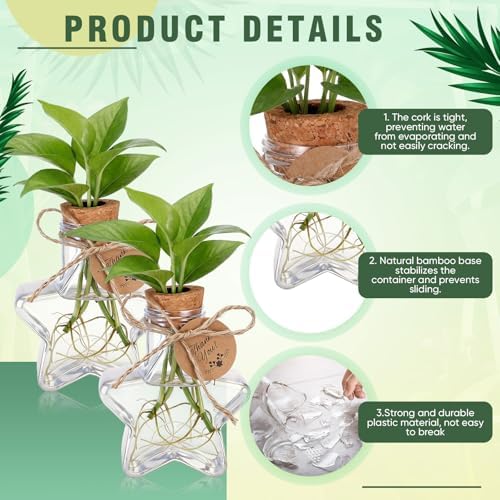 24 Pack 3.74'' Star Plastic Plant Propagation Stations with Hole Lid - Image 4
