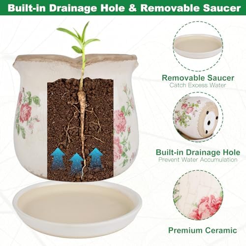 Ceramic-Planters-for-Indoor-Plants with Saucer, 6 inch Vintage Ice Crack Glaze Plant Pots with Drainage Holes, Decorative Flower Pots for Outdoor Garden Home Decor, Tuscan Pot for Plant - Image 3