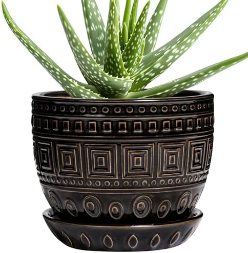 G EPGardening Ceramic Plant Pot, 5.5 Inch Ceramic Planter, Black by GEPGardening