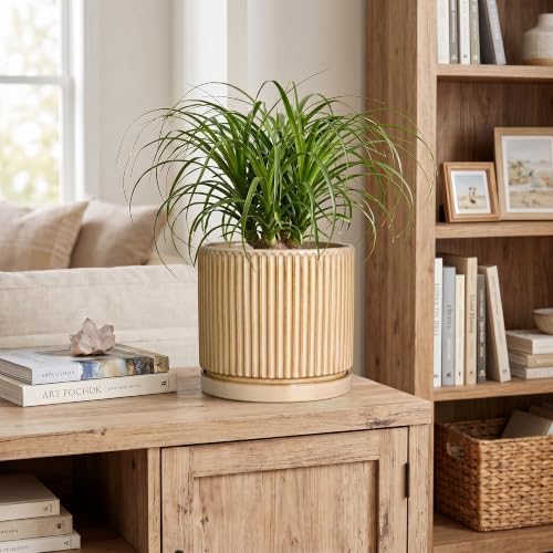 8 Inch Flower Pot, Ceramic Planters, Round Plant Pot, Beige - Image 3