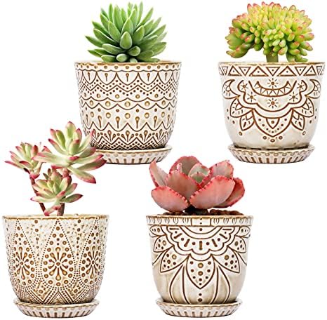 Gepege Ceramic Succulent Pots, 4 Inch Small Plant Pots with Drainage by Gepege