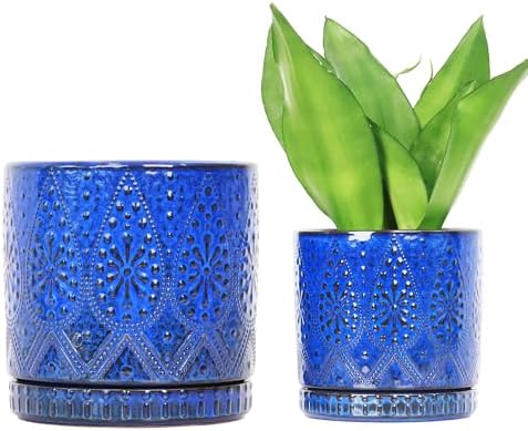 8 Inch + 6 Inch Indoor Plant Pot with Drainage Holes and Saucers, Ceramic Planter for Plants Succulent Orchid Flower Pots by YFFSRJDJ
