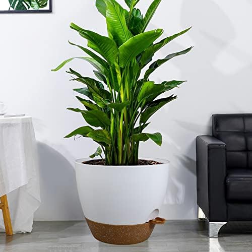 UOUZ 12 inch Large Self Watering Pots, Plastic Planters with 60oZ Removable Deep Reservoir and Multi Mesh Drainage Holes for Indoor Outdoor Garden Plants and Flowers, White with Brown - Image 6