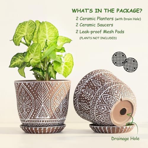 Gepege Ceramic Plant Pots, 6 Inch Indoor Planters with Drainage & Saucers - Image 3